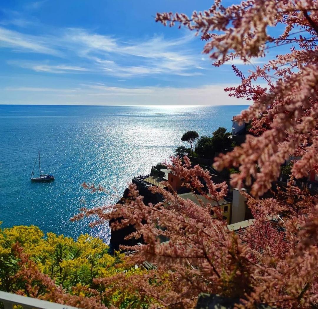 Exotic Flavour House La Spezia Exterior photo